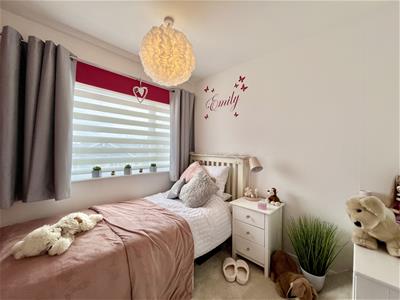 Picture 17